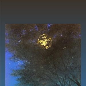 Meet your Posher, Yuyang